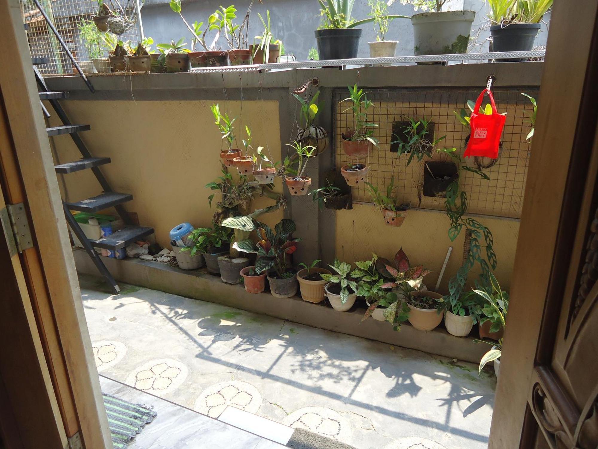 The Reinhold Guesthouse Bali Kerobokan Exteriör bild